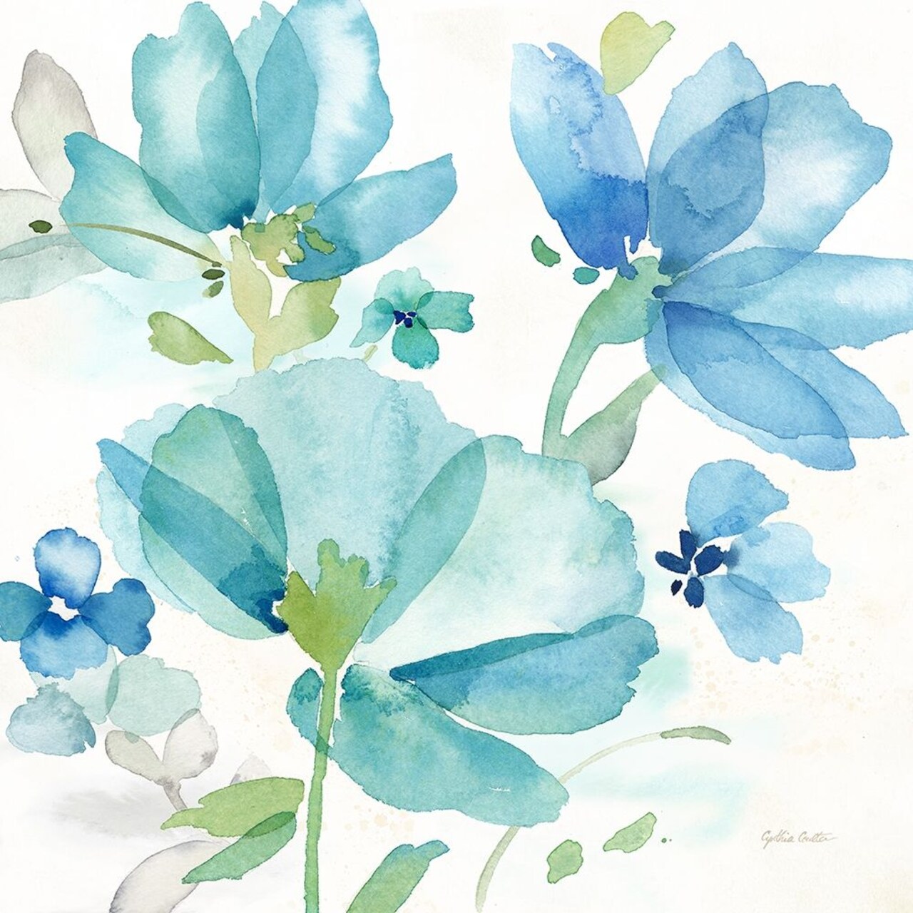 Blue Poppy Field I Poster Print by Cynthia Coulter - Item # VARPDXRB12681CC